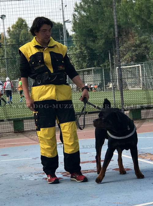 buy dog nylon harness for Rottweiler training